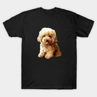 Mini Poodle Toy Poodle Cute Puppy Dog T-Shirt